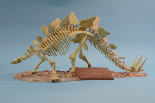 Built Model